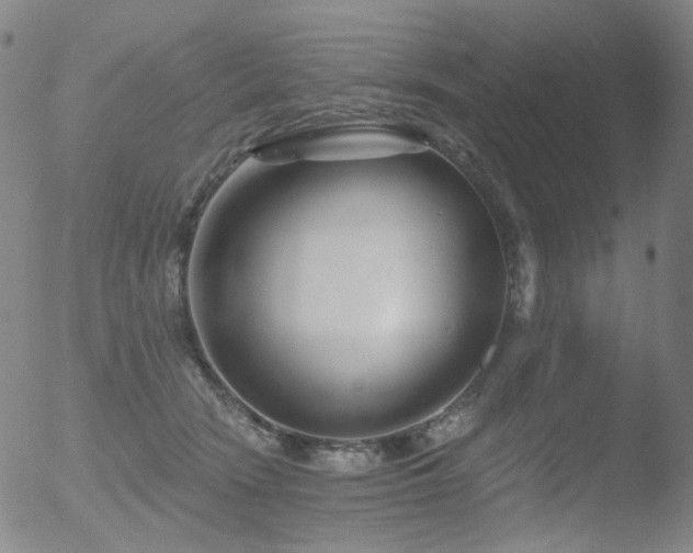 X0000052940466200507081148