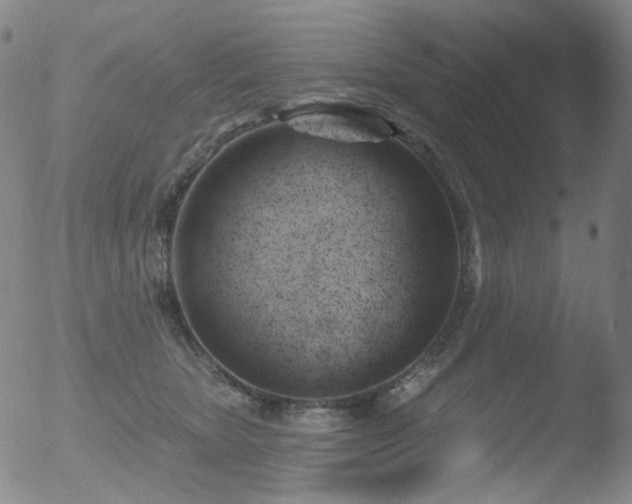 X0000052940467200507081148