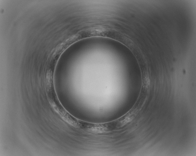 X0000052940468200507081148