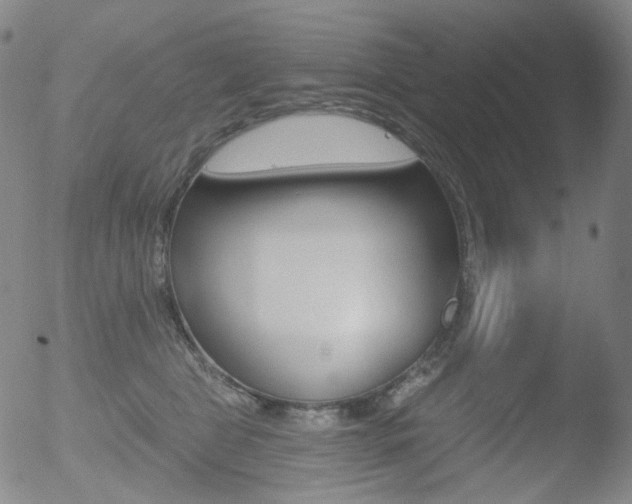 X0000052940469200507081149