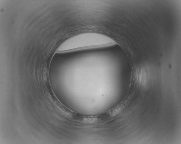 X0000052940470200507081149