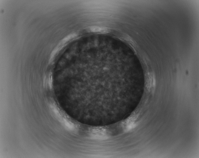 X0000052940471200507081149