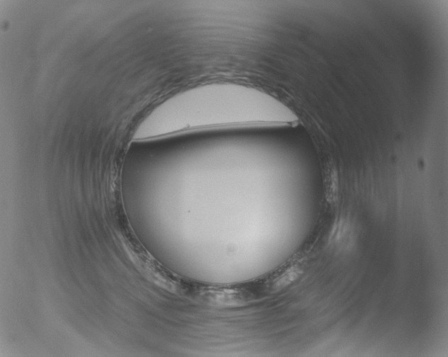 X0000052940472200507081149