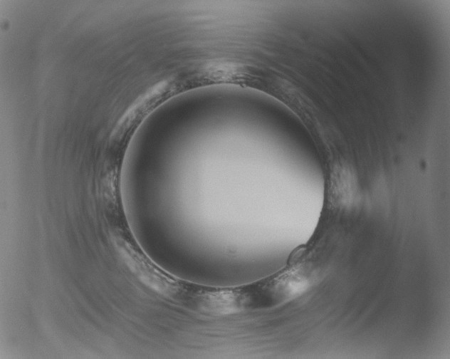 X0000052940473200507081149