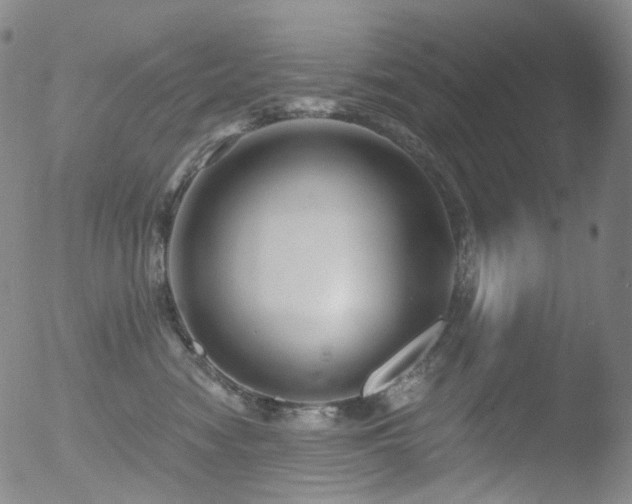 X0000052940474200507081149