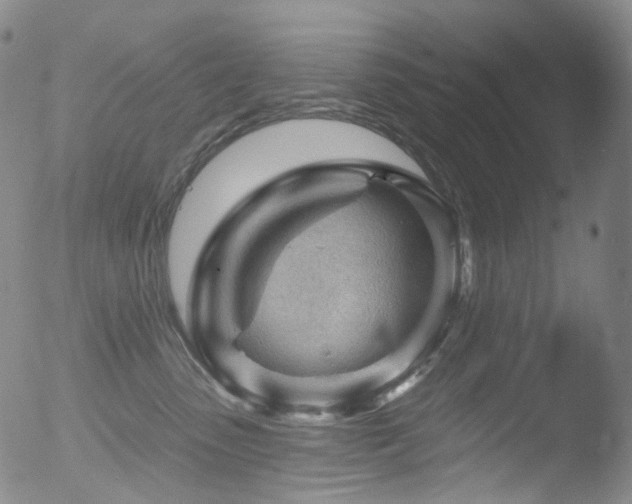 X0000052940475200507081149