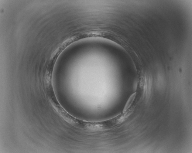 X0000052940476200507081149