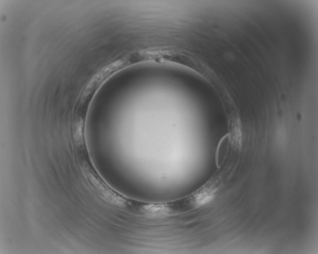 X0000052940477200507081149