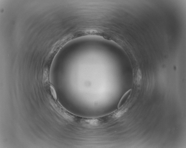 X0000052940478200507081149