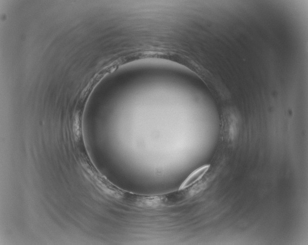 X0000052940479200507081149