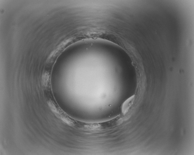 X0000052940480200507081149