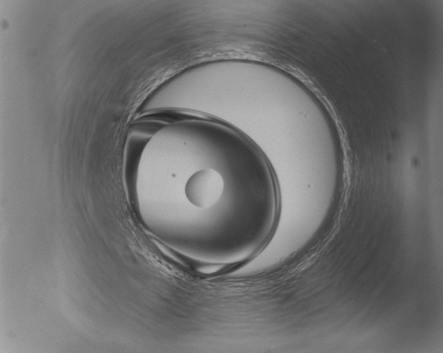 X0000052940481200507081148