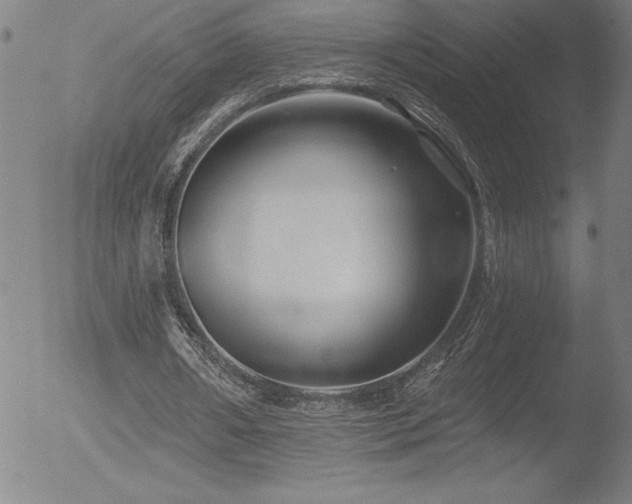 X0000052940482200507081148