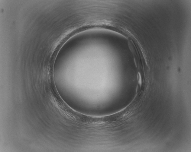 X0000052940483200507081148