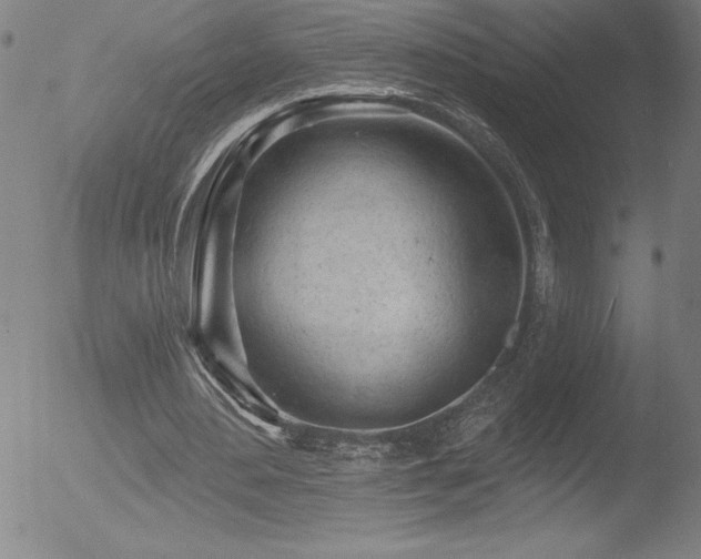 X0000052940484200507081148