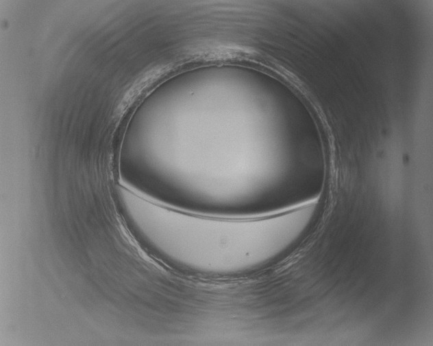 X0000052940485200507081148