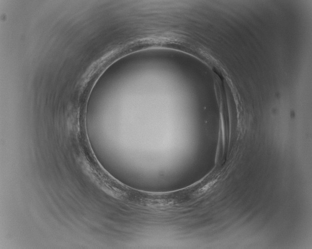 X0000052940486200507081148