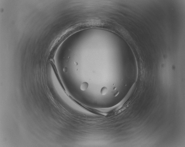 X0000052940487200507081148