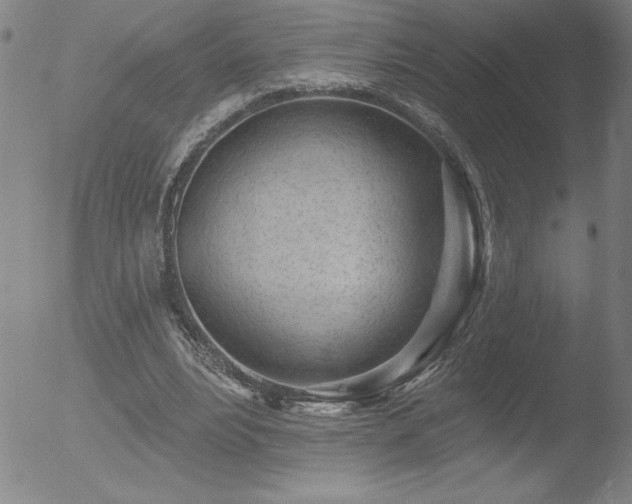 X0000052940488200507081148