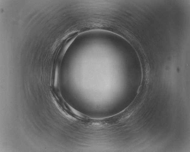 X0000052940489200507081148