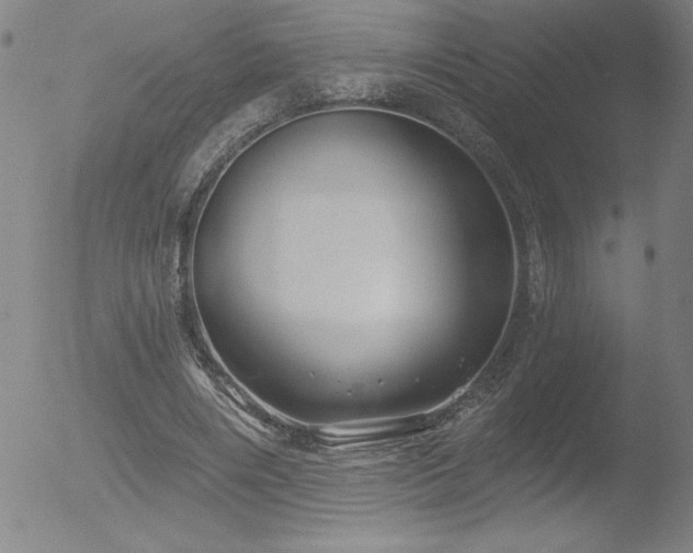 X0000052940490200507081148