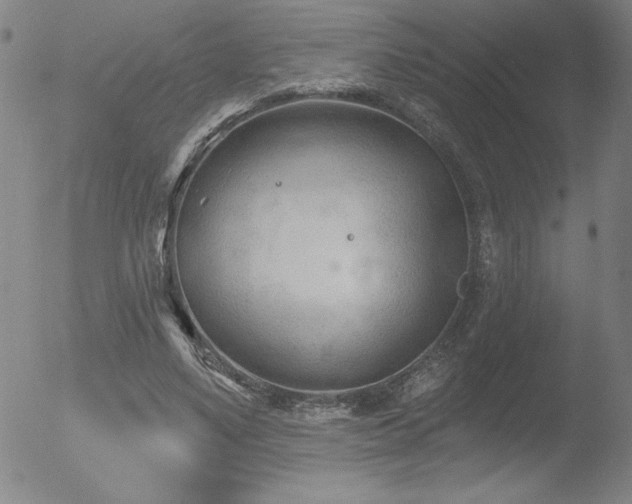 X0000052940491200507081148