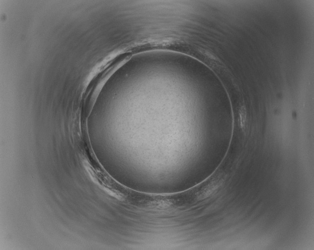 X0000052940492200507081148