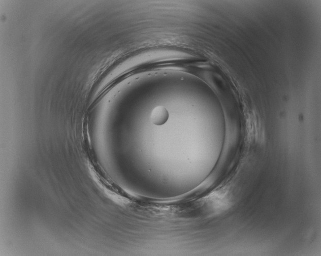 X0000052940493200507081148