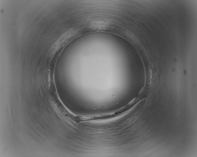 X0000052940494200507081148