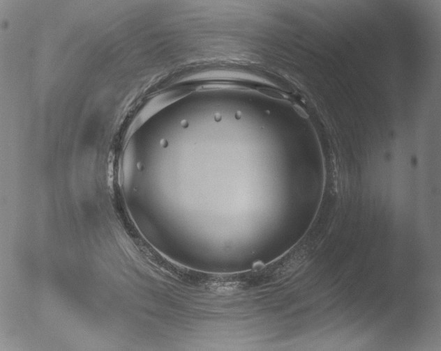 X0000052940495200507081148