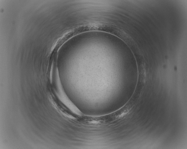 X0000052940496200507081148