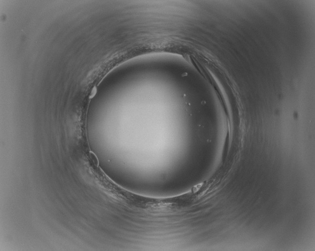 X0000052940497200507081148