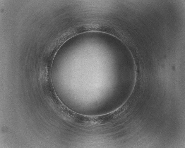 X0000052940498200507081148