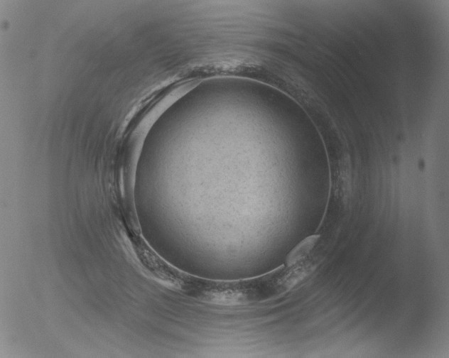 X0000052940500200507081148