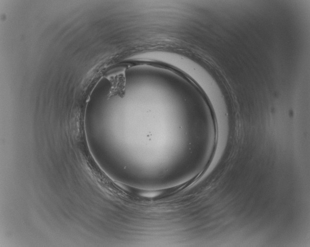 X0000052940501200507081148