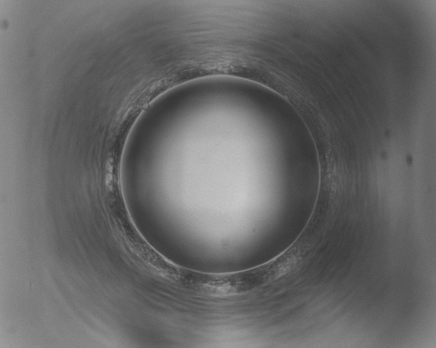 X0000052940502200507081148