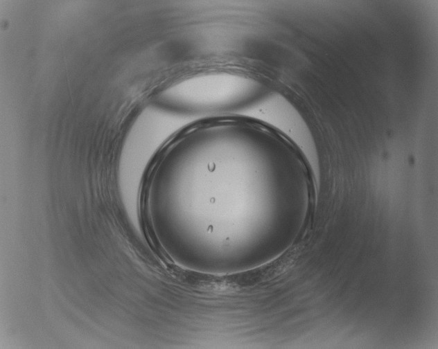 X0000052940503200507081148