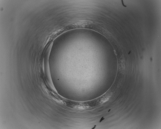 X0000052940504200507081148