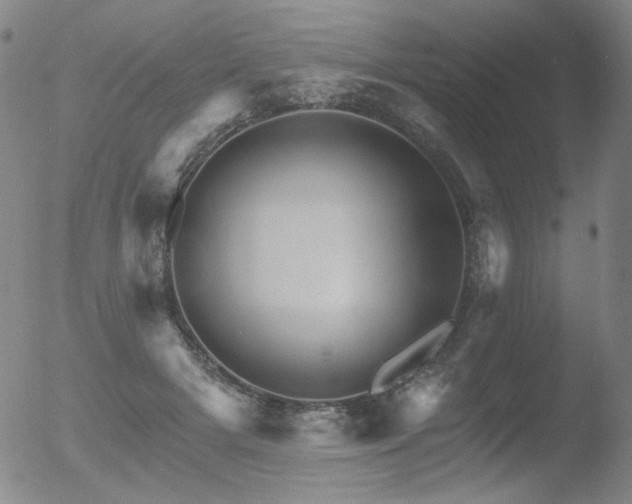 X0000052940505200507081147