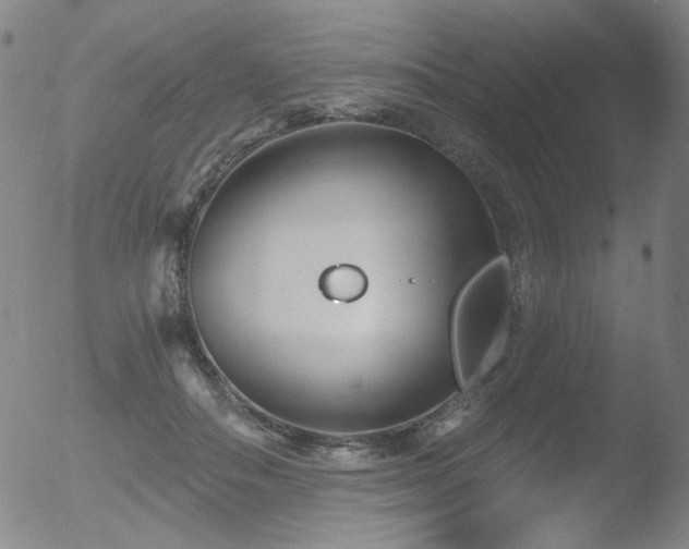 X0000052940506200507081147