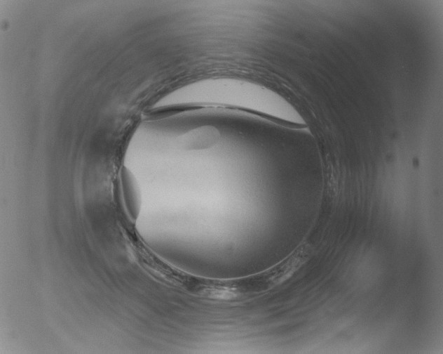 X0000052940507200507081147