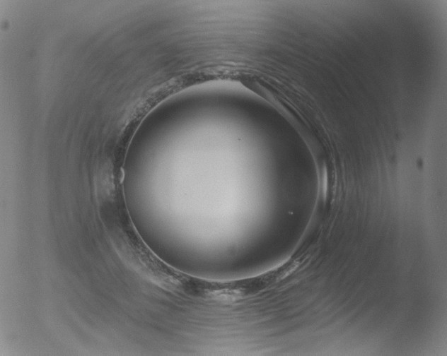 X0000052940508200507081147