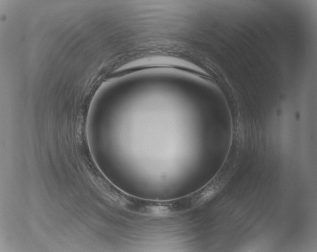 X0000052940509200507081147