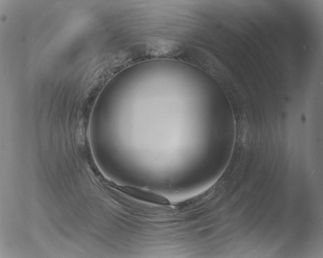 X0000052940510200507081147