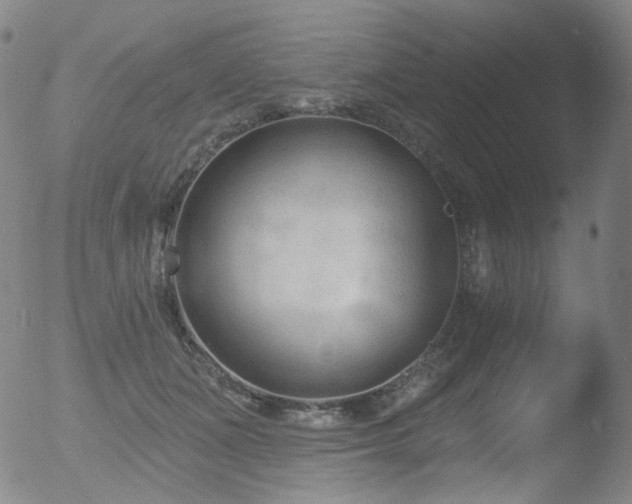 X0000052940511200507081147