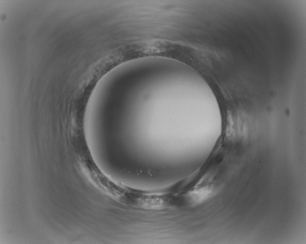 X0000052940512200507081147