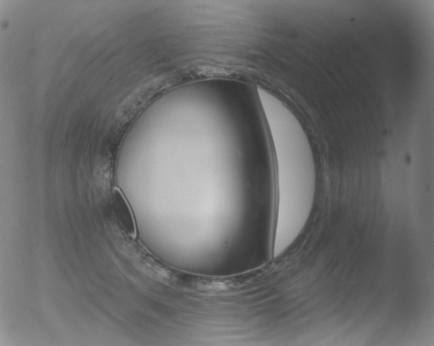 X0000052940513200507081147