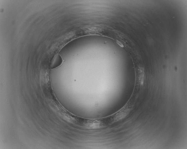 X0000052940514200507081147