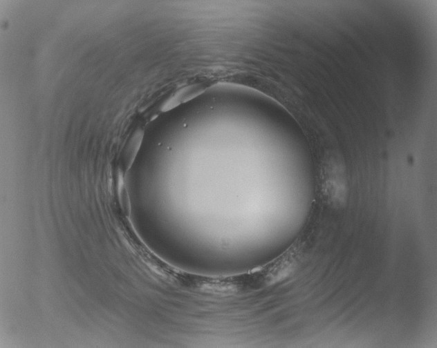 X0000052940515200507081147