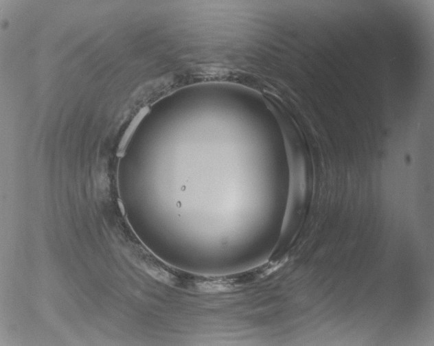 X0000052940516200507081147